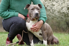 Nala-23