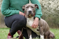 Nala-25