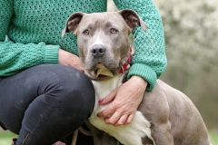 Nala-28