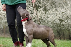 Nala-3