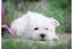 Ottilie-2