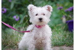Ottilie-6