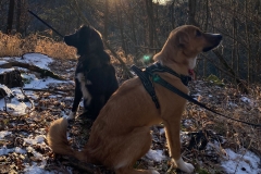 Peanut-und-Parker-4
