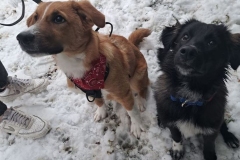 Peanut-und-Parker-5