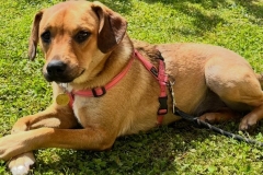 Penny-Penelope-4 Penny-Penelope-4