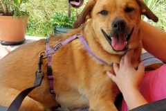 Penny-Penelope-6 Penny-Penelope-6