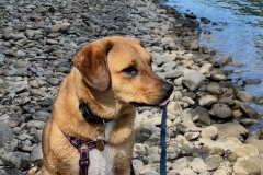 Penny-Penelope-7 Penny-Penelope-7