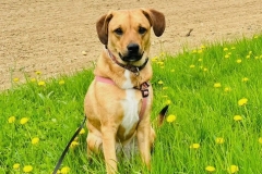 Penny-Penelope-9 Penny-Penelope-9