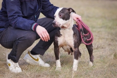 Pepita-19