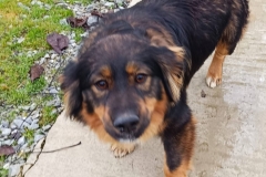 WhatsApp-Image-2026-03-15-at-19.02.48