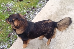 WhatsApp-Image-2026-03-15-at-19.02