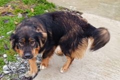 WhatsApp-Image-2026-03-15-at-19