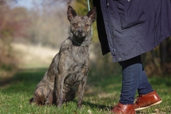 Rozi_girl-3