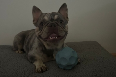 Ruby-2