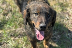 Sammy-5