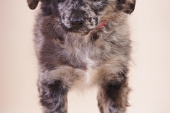 Zita (4)