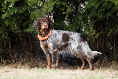 Zoey4