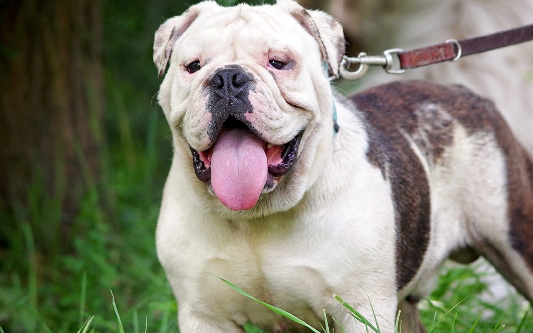 Winston