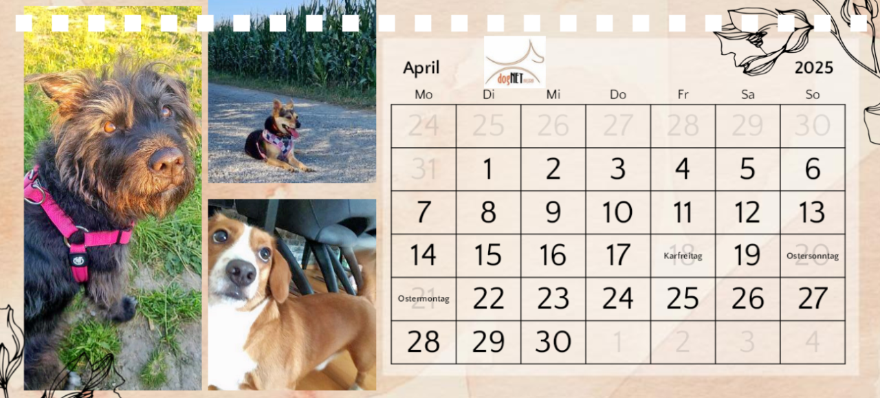 Kalender 2025 | dogNET