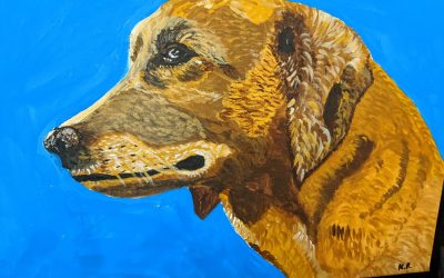 Hundeportrait