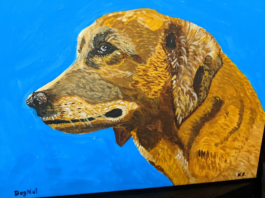 Hundeportrait
