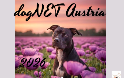 Kalenderaktion 2026 – Zeigt eure Lieblinge und helft unseren Hunden! 🐾