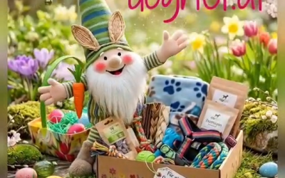🐰 Werde Osterwichtel für eine Fellnase! 🌷