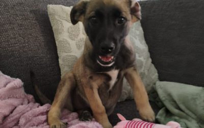 Mia