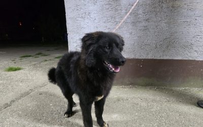 Krümel