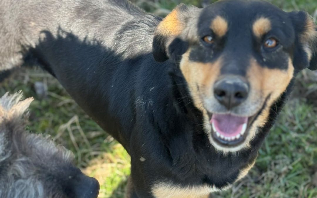 Luna