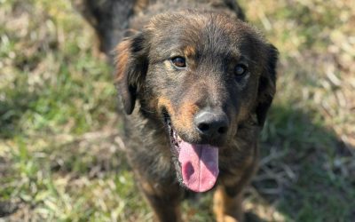 Sammy